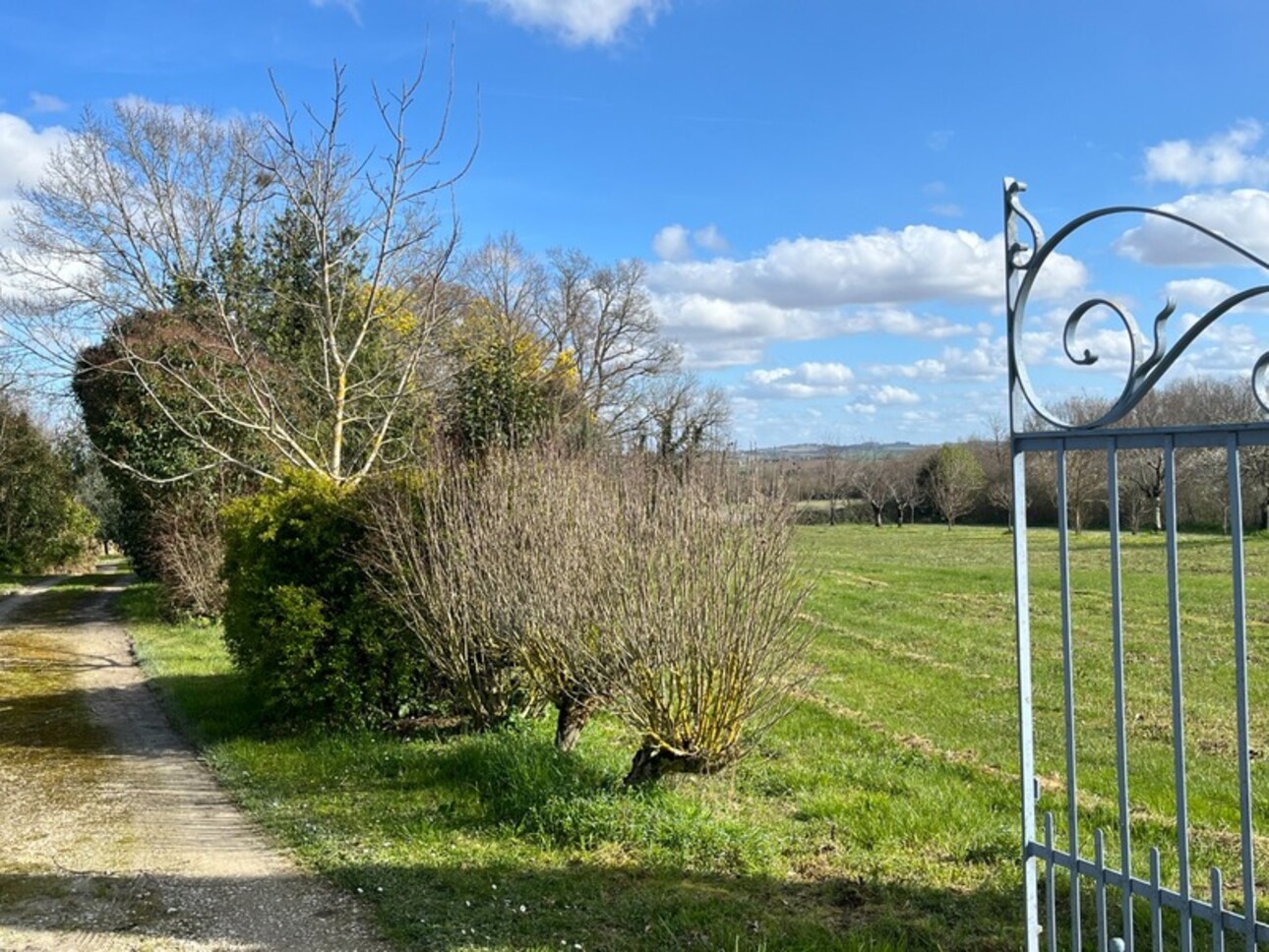 Photos 37 - Prestige - Dpt Gers (32), à vendre AUCH 20min, authentique PROPRIETE GASCONNE composée d'une MAISON de MAITRE, d'un gite independant, dépendances, piscine, 1.5ha clos et paysagé , SANS VIS A VIS, au CALME, proche de FLEURANCE et LECTOURE