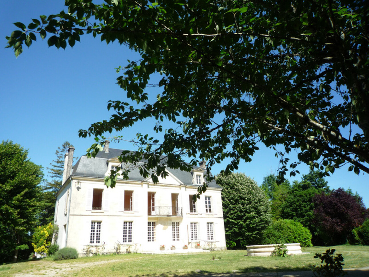 Photos 3 - Prestige - Dpt Charente (16), à vendre COGNAC propriété de 30hectares, chateaux 450m², maison 170m², ferme 190m², dépendances 600m²