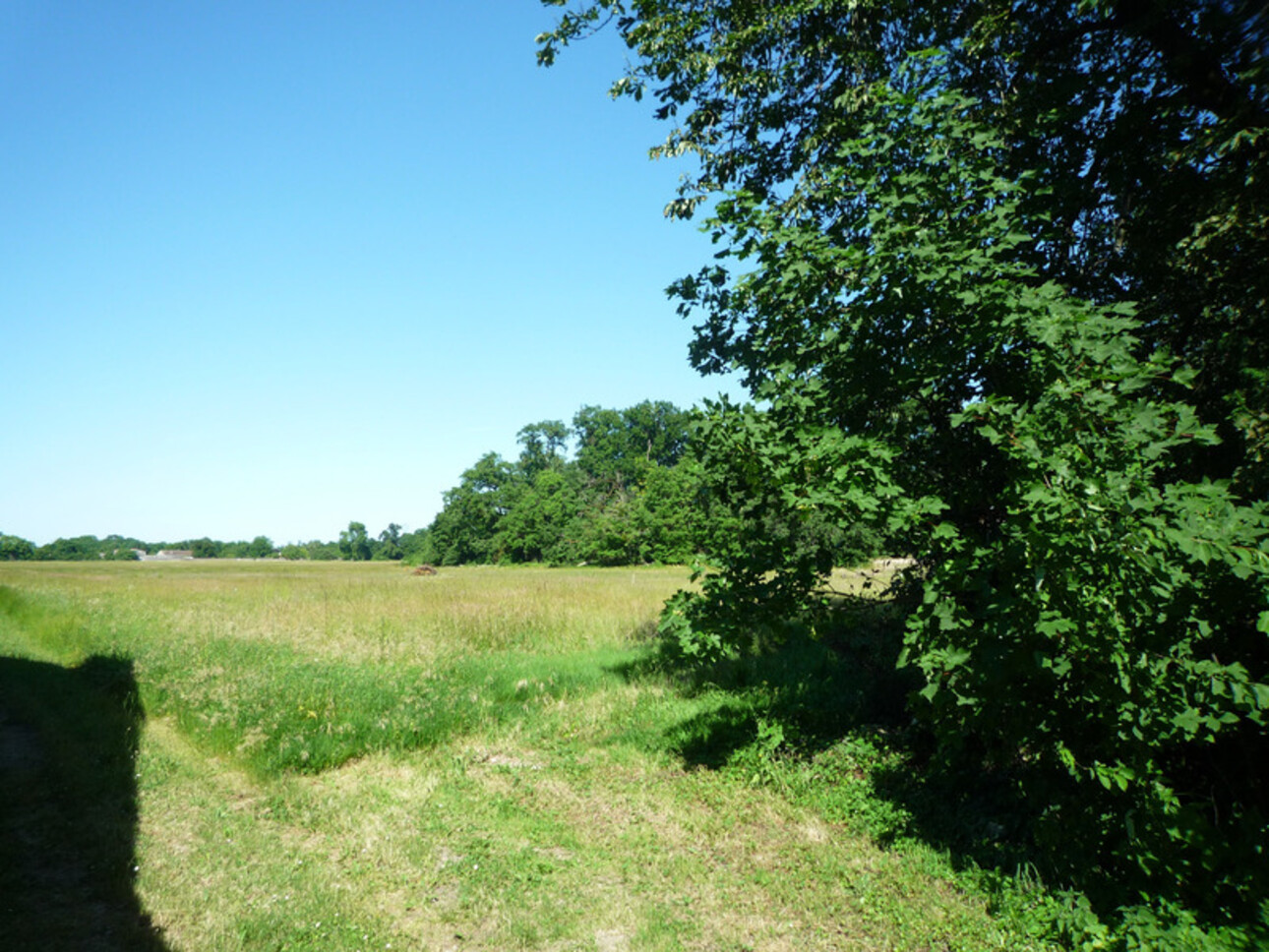 Photos 8 - Prestigious - Dpt Charente (16), à vendre COGNAC propriété de 30hectares, chateaux 450m², maison 170m², ferme 190m², dépendances 600m²