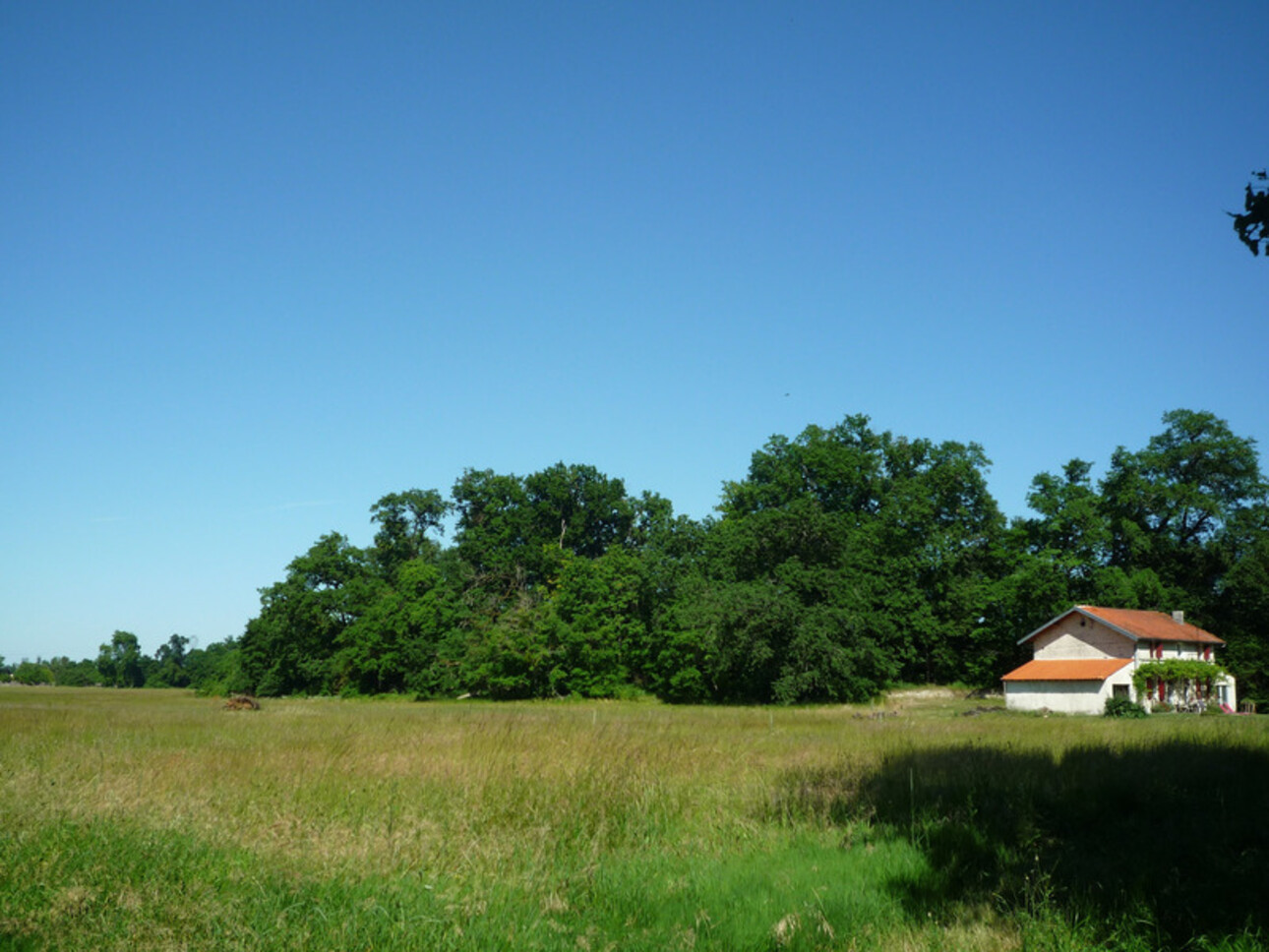 Photos 14 - Prestige - Dpt Charente (16), à vendre COGNAC propriété de 30hectares, chateaux 450m², maison 170m², ferme 190m², dépendances 600m²