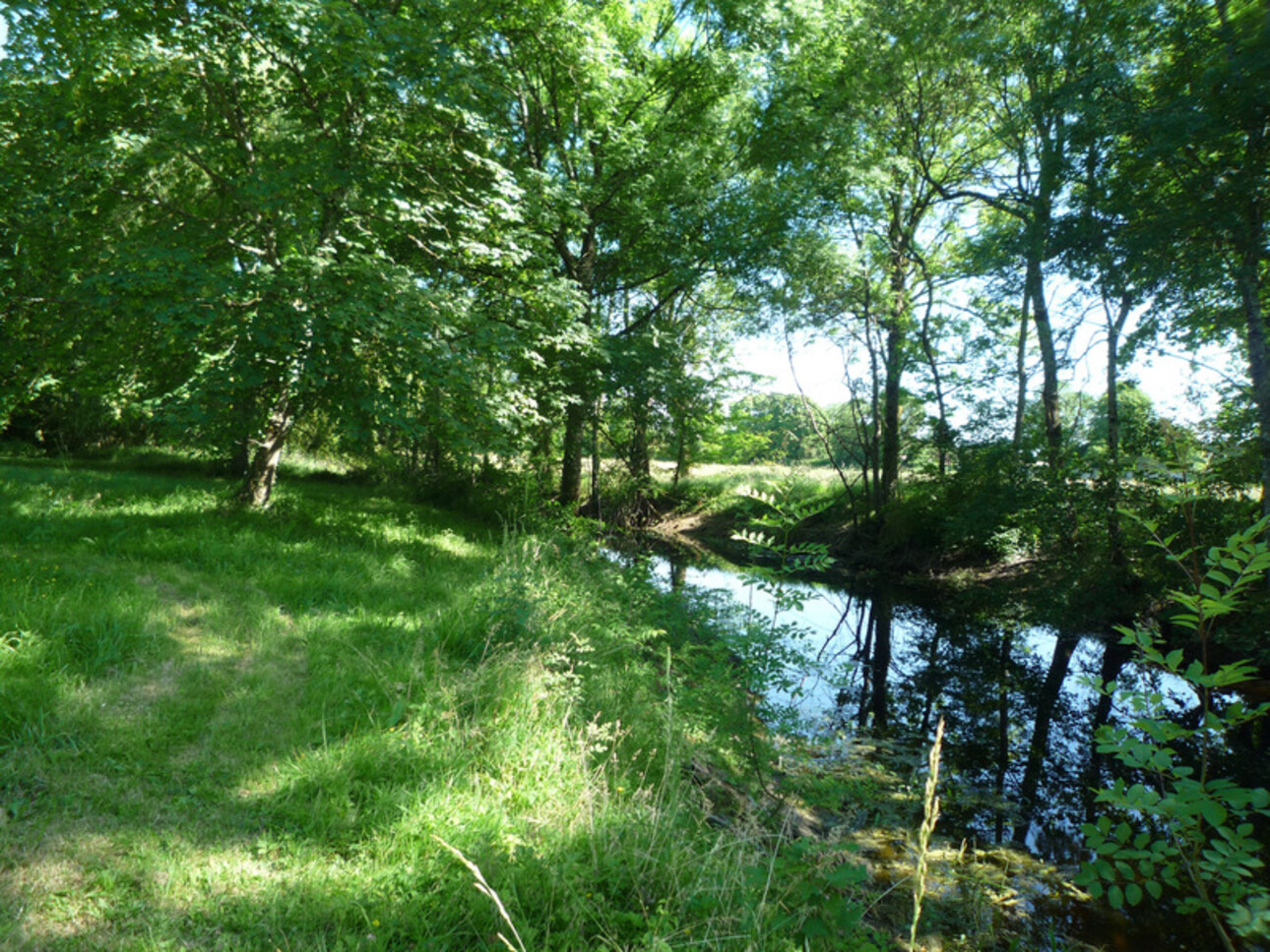 Photos 16 - Prestigious - Dpt Charente (16), à vendre COGNAC propriété de 30hectares, chateaux 450m², maison 170m², ferme 190m², dépendances 600m²