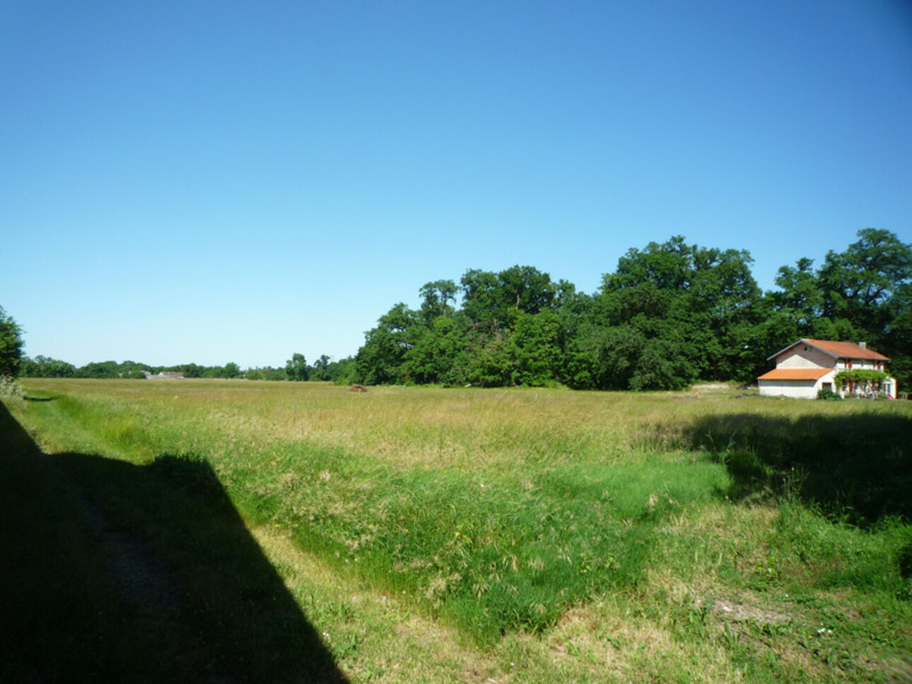 Photos 18 - Prestige - Dpt Charente (16), à vendre COGNAC propriété de 30hectares, chateaux 450m², maison 170m², ferme 190m², dépendances 600m²