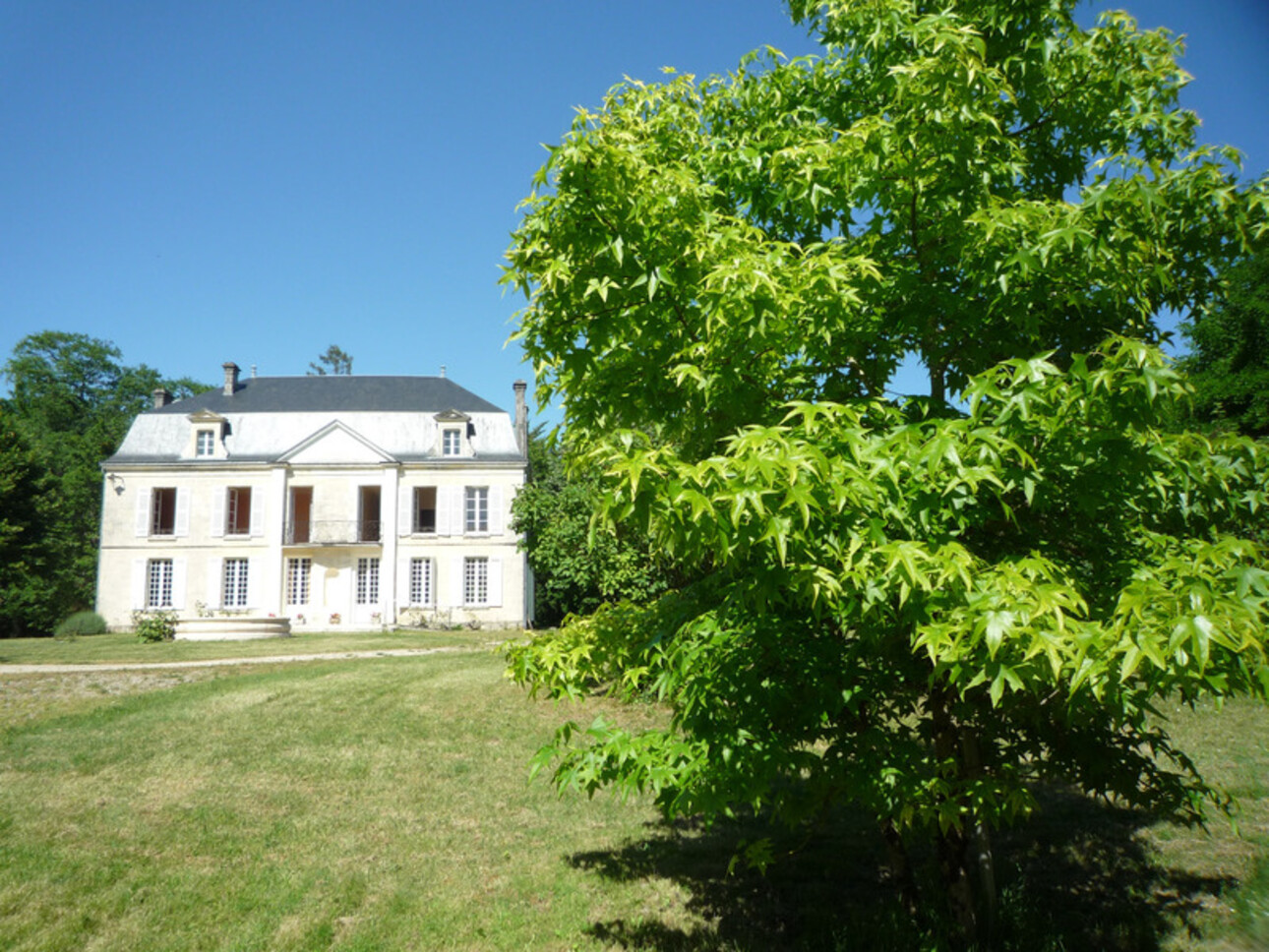 Photos 19 - Prestige - Dpt Charente (16), à vendre COGNAC propriété de 30hectares, chateaux 450m², maison 170m², ferme 190m², dépendances 600m²