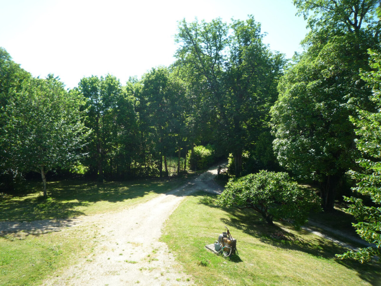 Photos 21 - Prestigious - Dpt Charente (16), à vendre COGNAC propriété de 30hectares, chateaux 450m², maison 170m², ferme 190m², dépendances 600m²