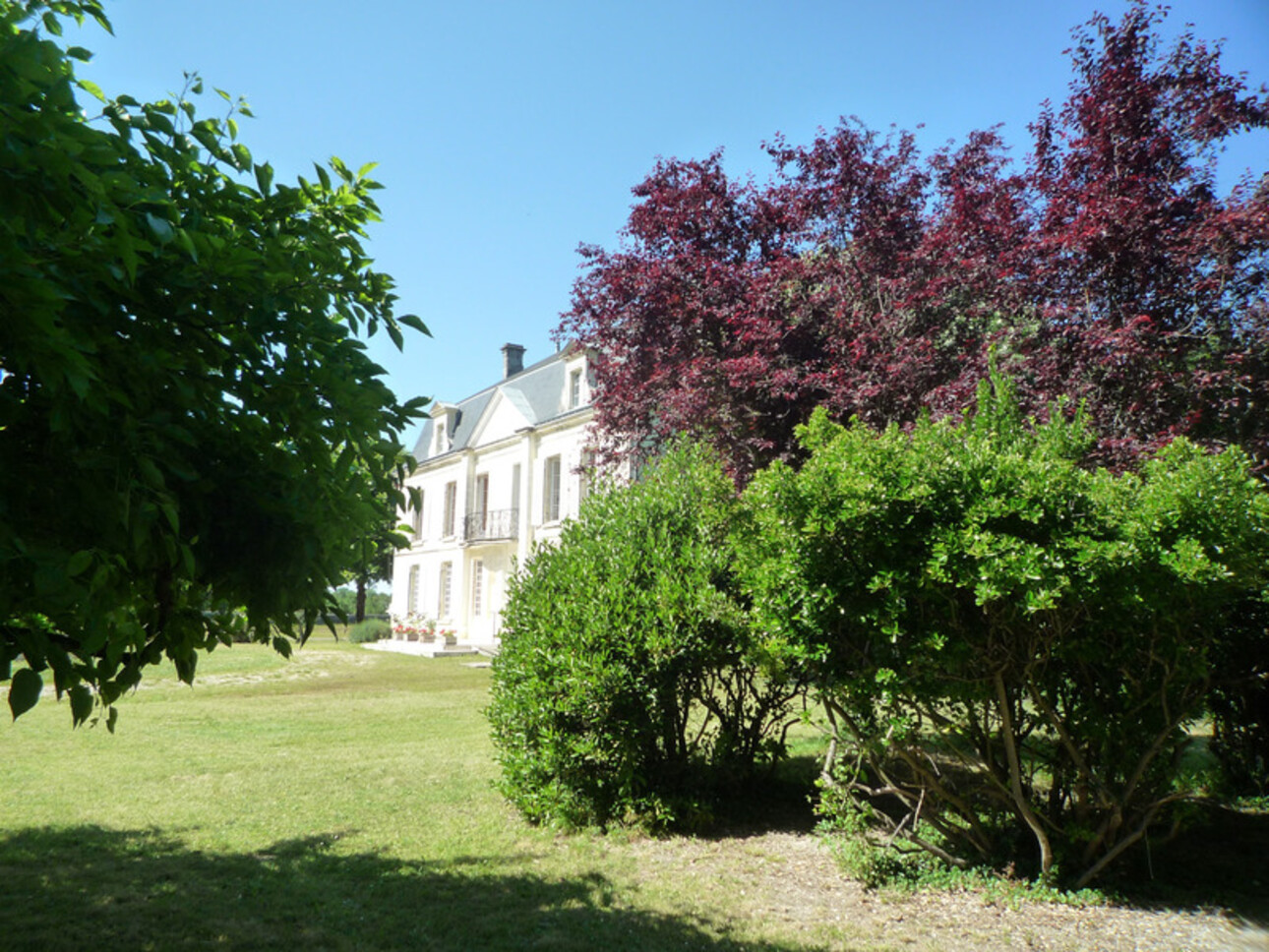 Photos 33 - Prestigious - Dpt Charente (16), à vendre COGNAC propriété de 30hectares, chateaux 450m², maison 170m², ferme 190m², dépendances 600m²