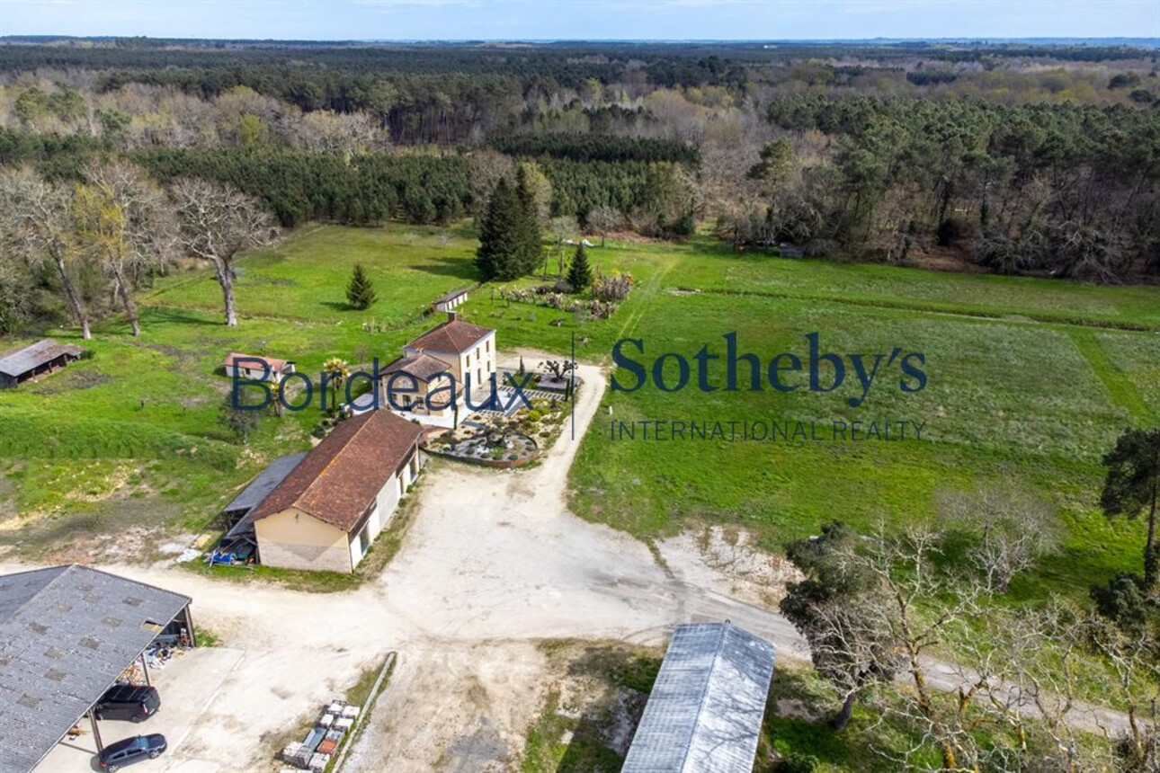 Photos 10 - Prestigious - BORDEAUX SOUTH 30MN - COUNTRYSIDE - SUPERB PROPERTY 6 HECTARES - OUTBUILDINGS - LARGE PLOT