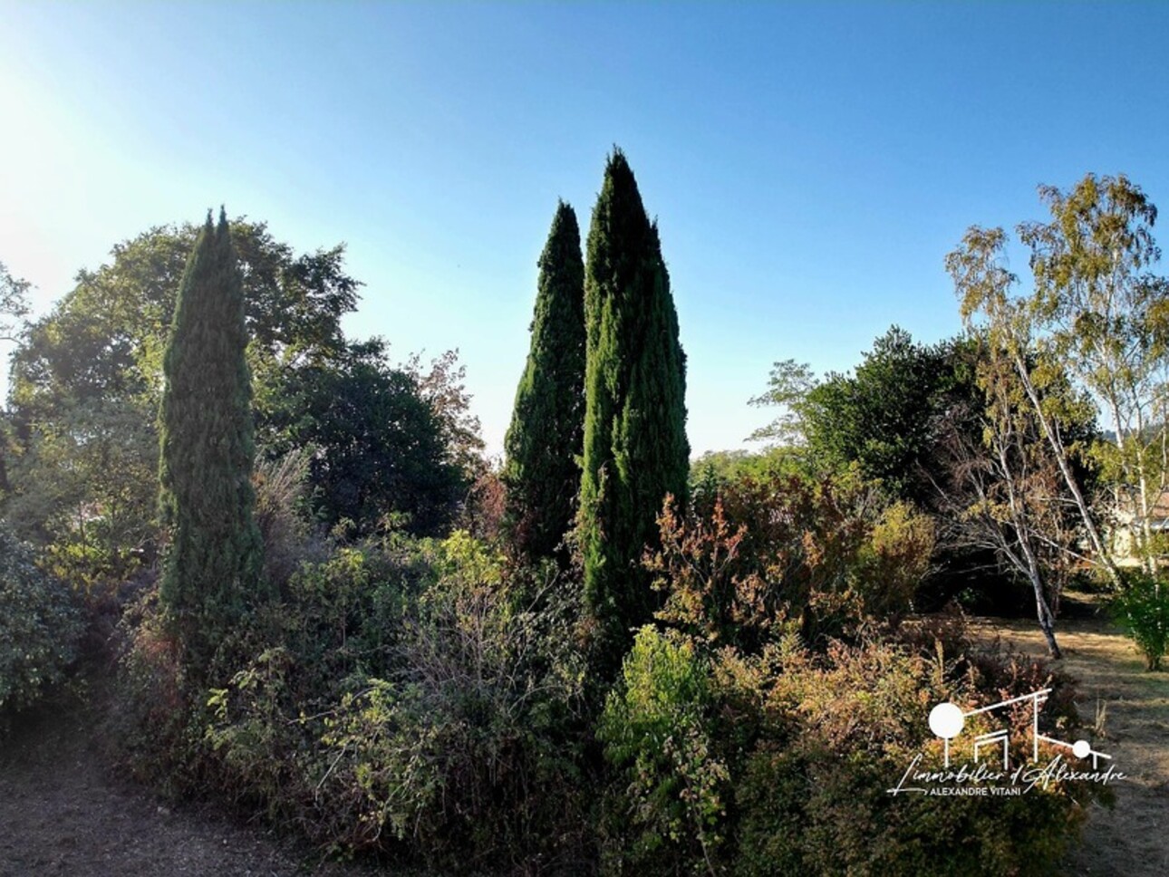 Photos 16 - Tourist - Dpt Tarn (81), for sale near MAZAMET property P11 of 955 m² - Land of 14,797.00 m²