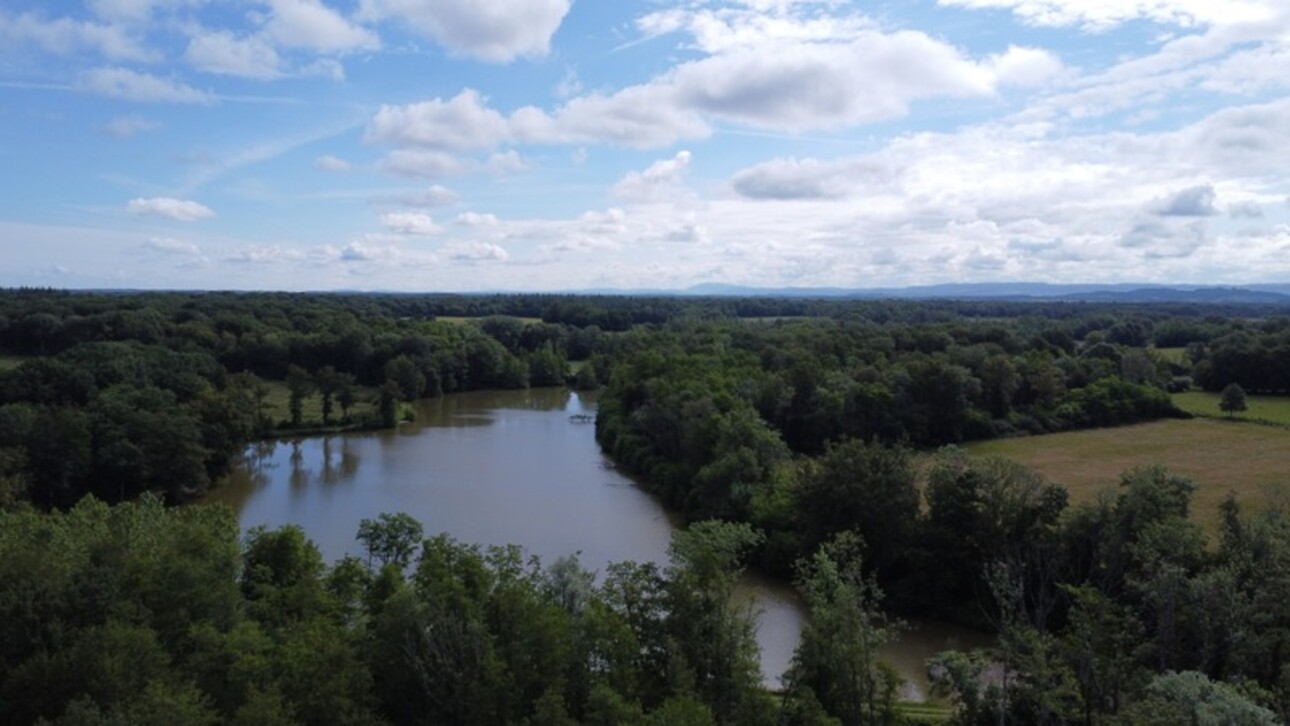 Photos 2 - Foncière - Dpt Jura (39), à vendre CHAUMERGY terrain