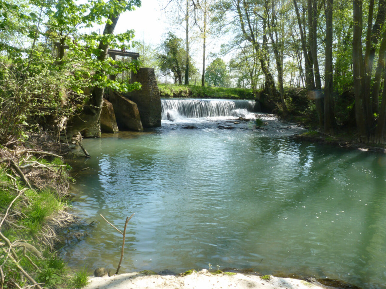 Photos 5 - Équestre - Dpt Seine et Marne (77) à vendre  grand domaine de plus de 4500 m2 couverts sur un parc de 4,5 hectares