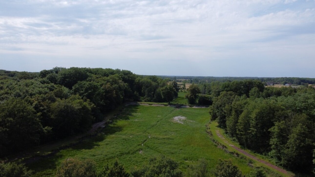 Photos 1 - Forestière - Dpt Jura (39), à vendre CHAUMERGY terrain