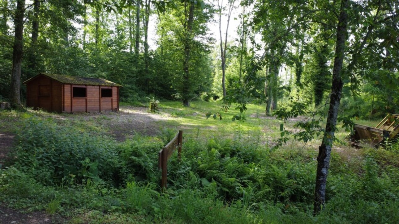 Photos 2 - Forestière - Dpt Jura (39), à vendre CHAUMERGY terrain