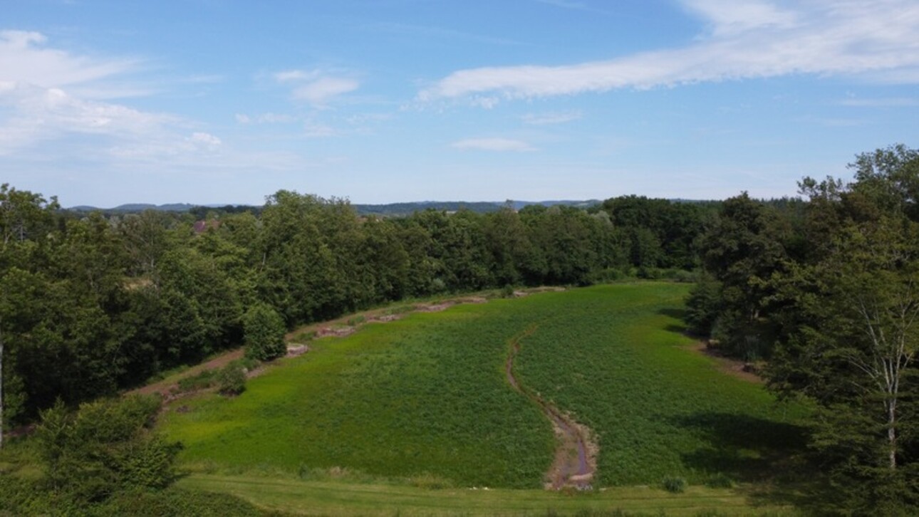 Photos 3 - Forestière - Dpt Jura (39), à vendre CHAUMERGY terrain