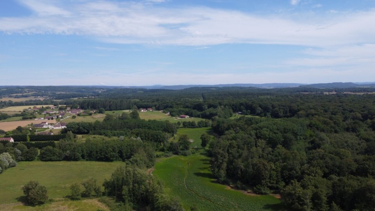 Photos 4 - Forestière - Dpt Jura (39), à vendre CHAUMERGY terrain