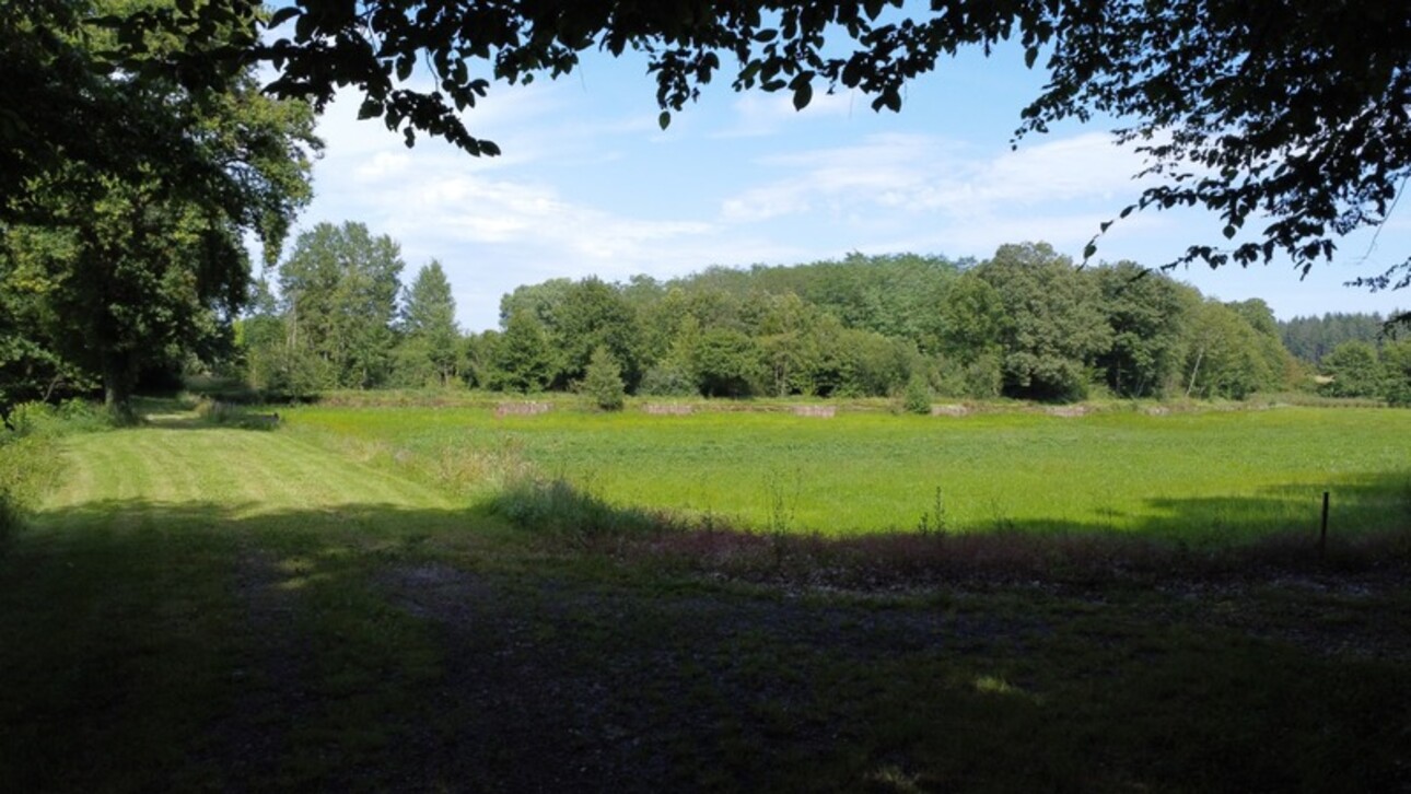 Photos 9 - Forestière - Dpt Jura (39), à vendre CHAUMERGY terrain