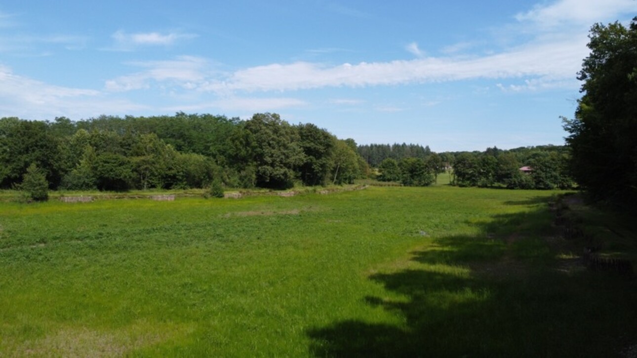 Photos 10 - Forestière - Dpt Jura (39), à vendre CHAUMERGY terrain