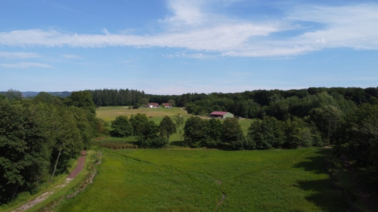 Photos 11 - Forestière - Dpt Jura (39), à vendre CHAUMERGY terrain