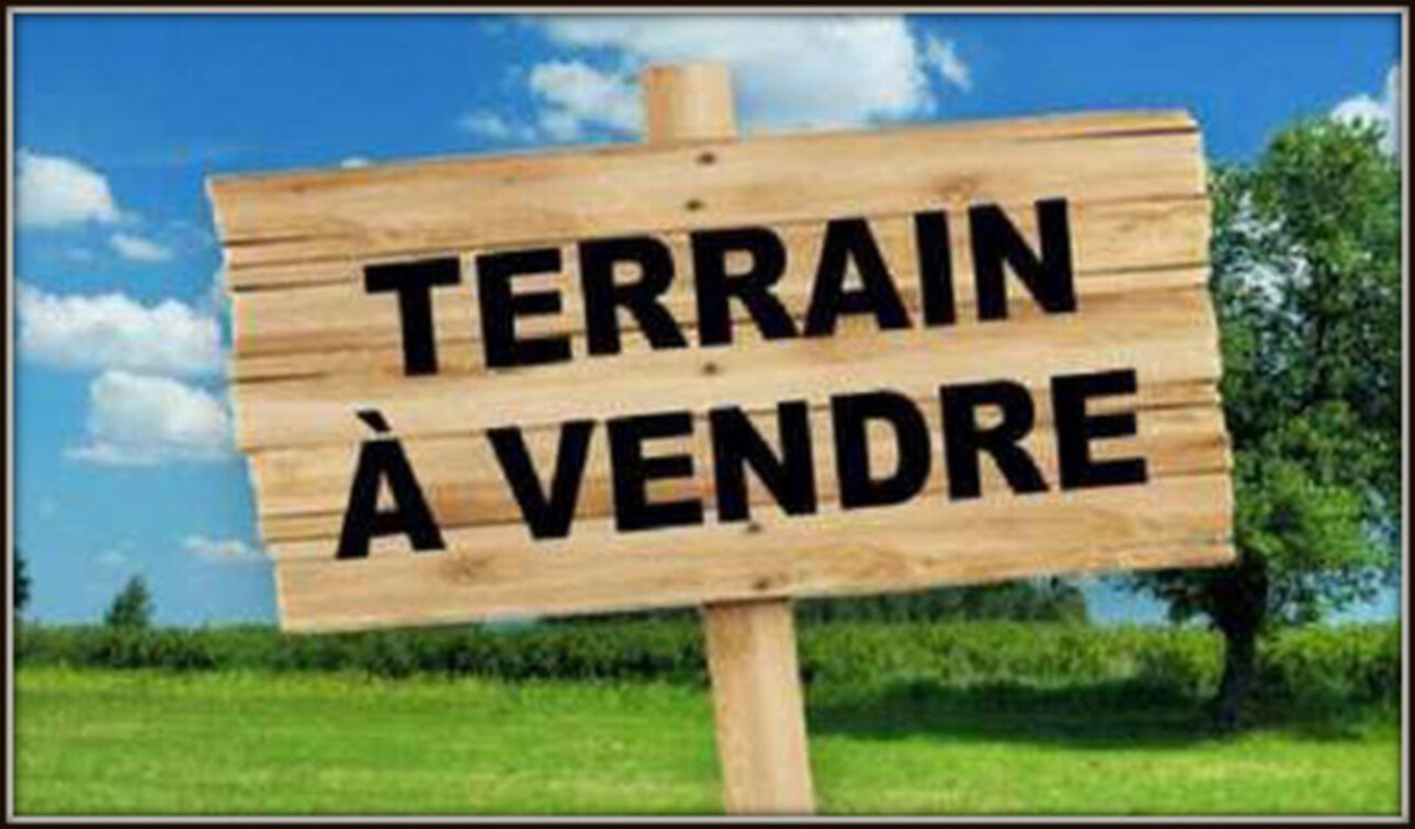 Photos 1 - Land - A VENDRE A SINNAMARY UN TERRAIN AGRICOLE DE 5 Hectares AU PRIX DE 161 000 €