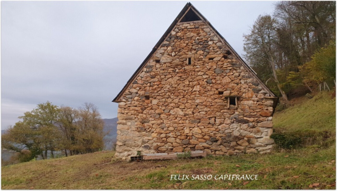 Photos 1 - Tourist - Near Argelès-Gazost, beautiful fairground barn to renovate with land of 21,777 m2, overlooking the v