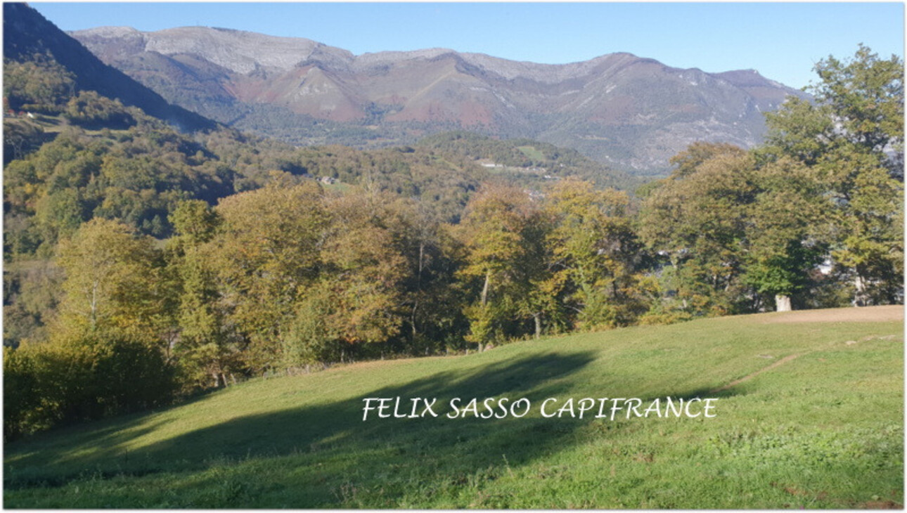 Photos 3 - Tourist - Near Argelès-Gazost, beautiful fairground barn to renovate with land of 21,777 m2, overlooking the v