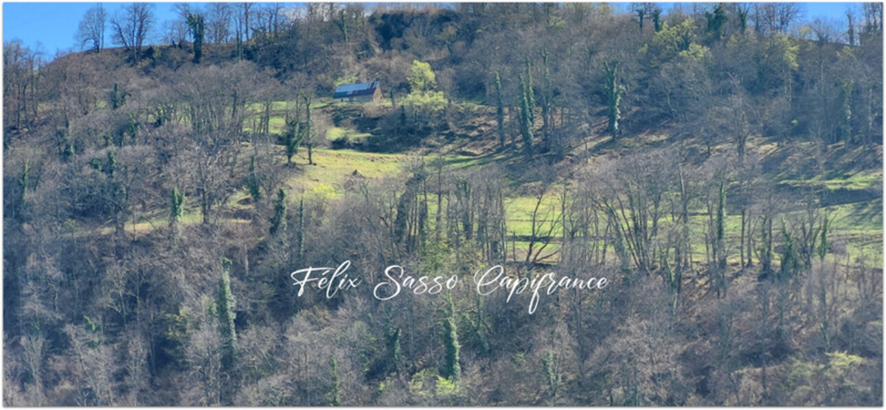 Photos 5 - Touristique - A proximité d'Argelès-Gazost, belle grange foraine à rénover avec terrain de 21 777 m2, dominant la vallée et offrant une belle vue sur les montagnes