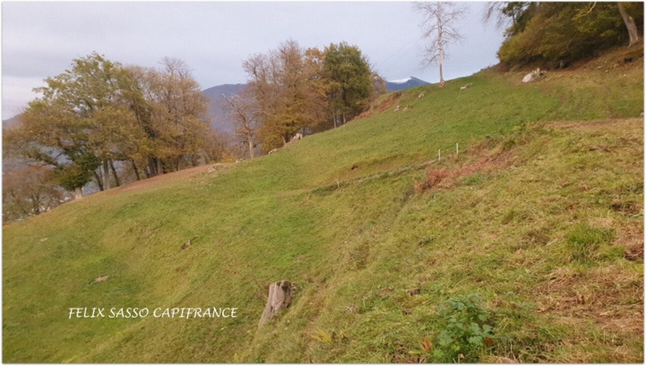 Photos 6 - Touristique - A proximité d'Argelès-Gazost, belle grange foraine à rénover avec terrain de 21 777 m2, dominant la vallée et offrant une belle vue sur les montagnes