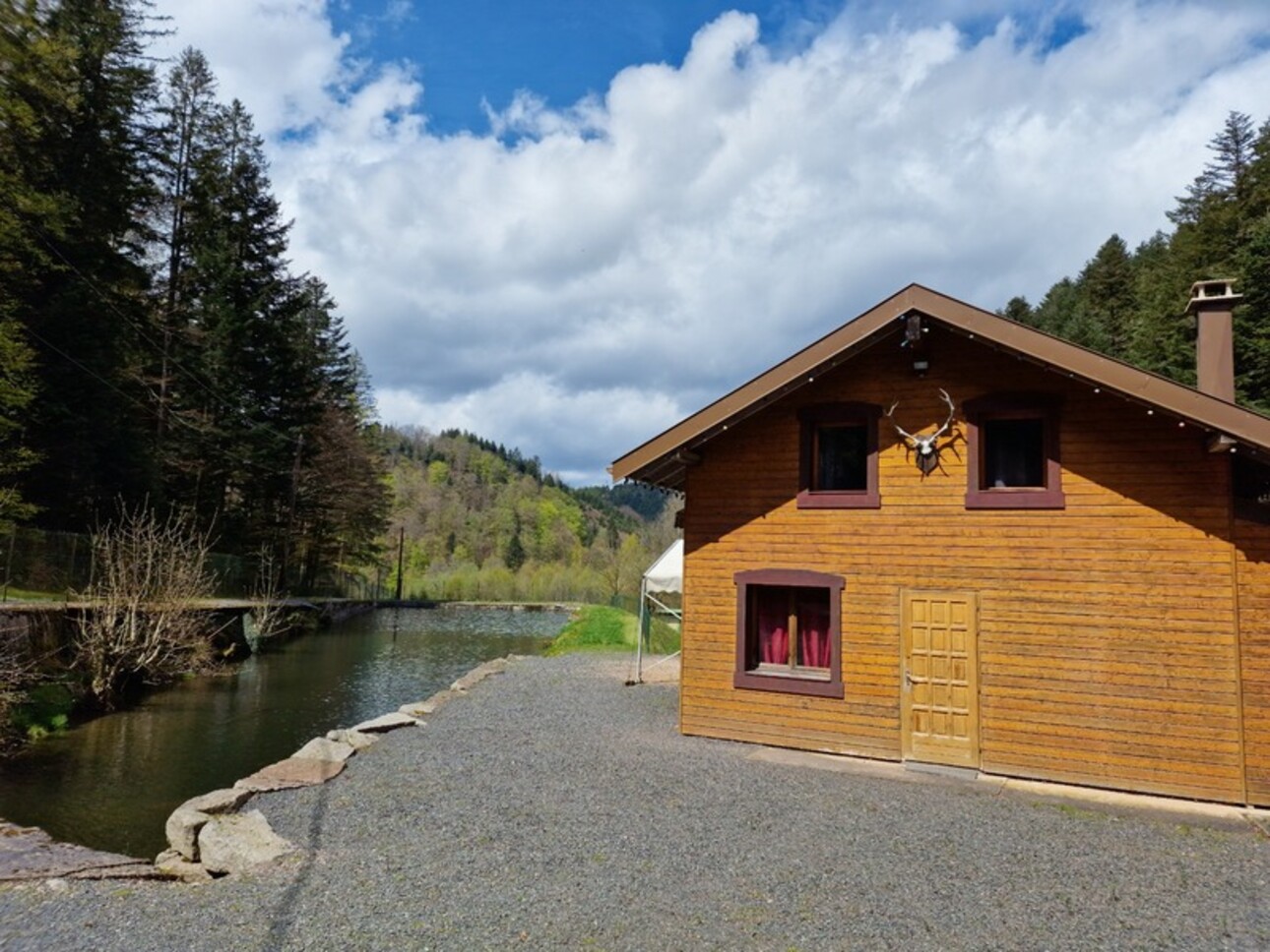 Photos 27 - Tourist - Dpt Bas-Rhin (67), for sale near SAALES property P5 with CHALET T5 + PARTY HALL + POND / land of 1 h