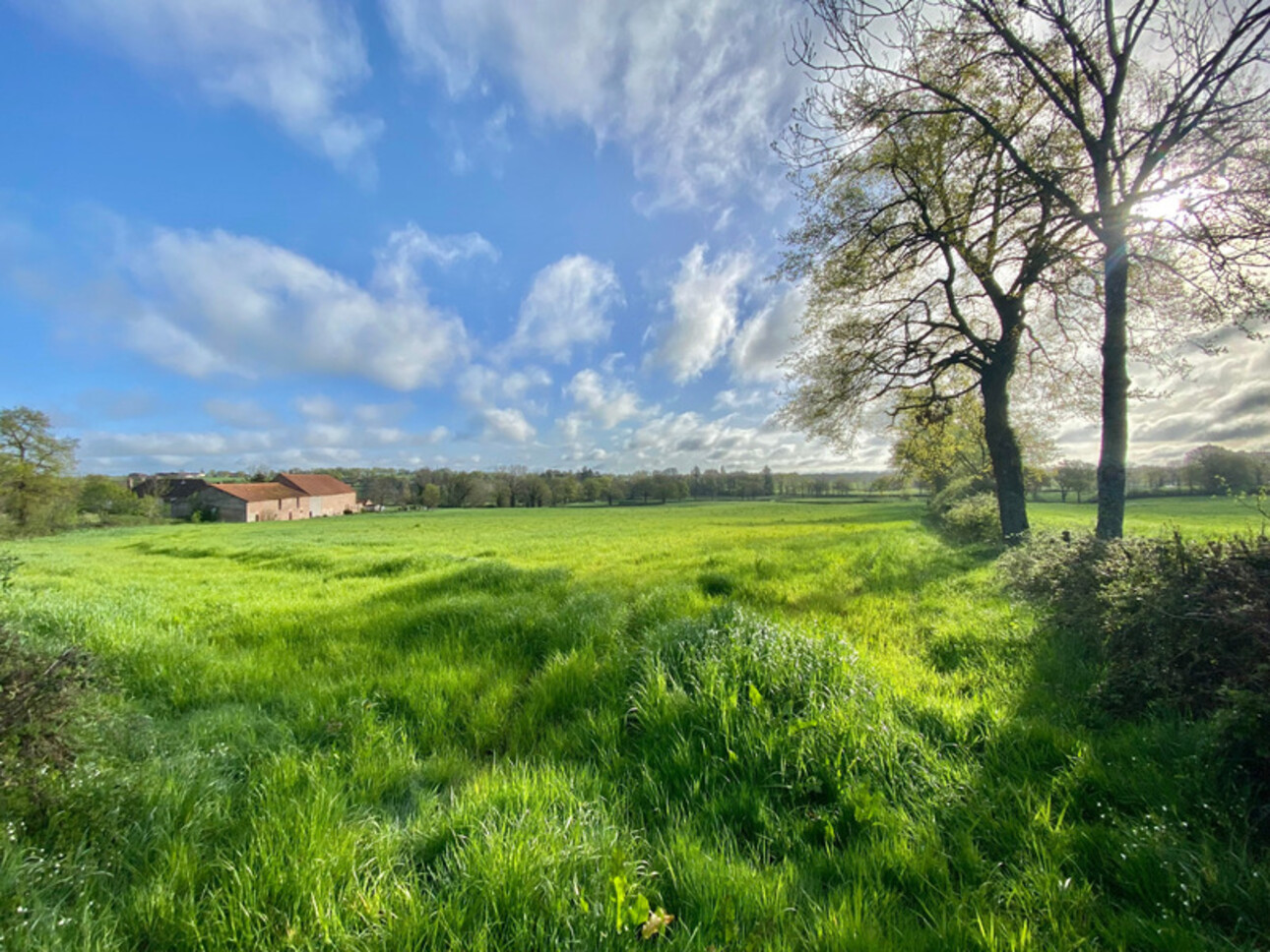 Photos 1 - Touristique - FERME EN PIERRE 2 HECTARES 900