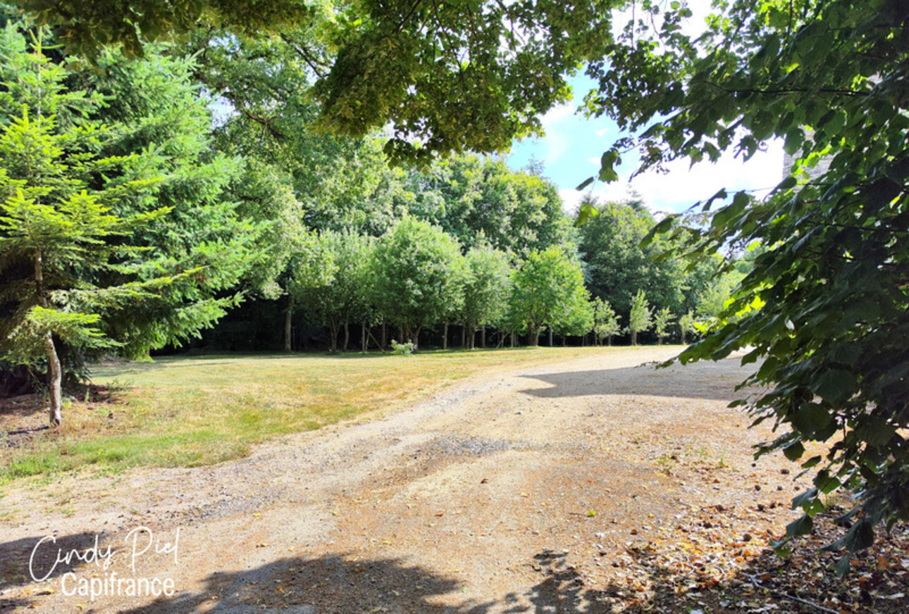 Photos 32 - Prestigious - Dpt Morbihan (56), for sale QUELNEUC manor P7 of 295 m² - Land of 27,103 m²