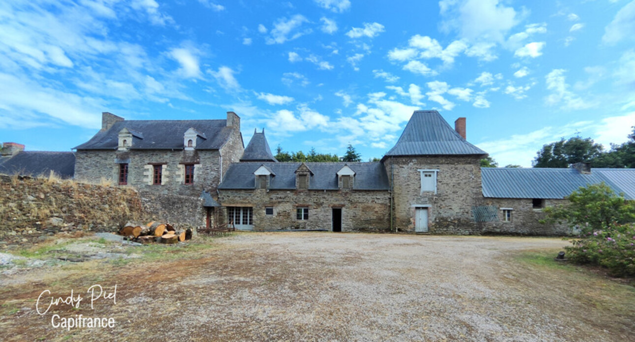 Photos 6 - Prestigious - Dpt Morbihan (56), for sale QUELNEUC manor P7 of 295 m² - Land of 27,103 m²