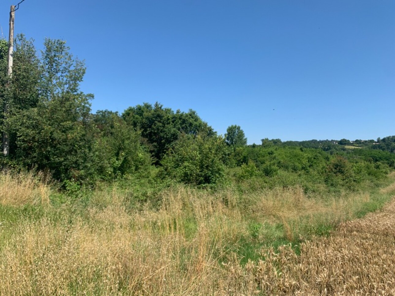 Photos 2 - Foncière - Dpt Lot et Garonne (47), à vendre BIAS terrain