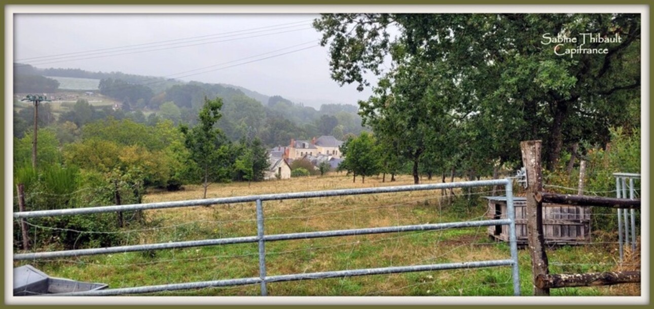 Photos 4 - Land - Dpt Sarthe (72), for sale SAINT GERMAIN D'ARCE agricultural land 5630 m2