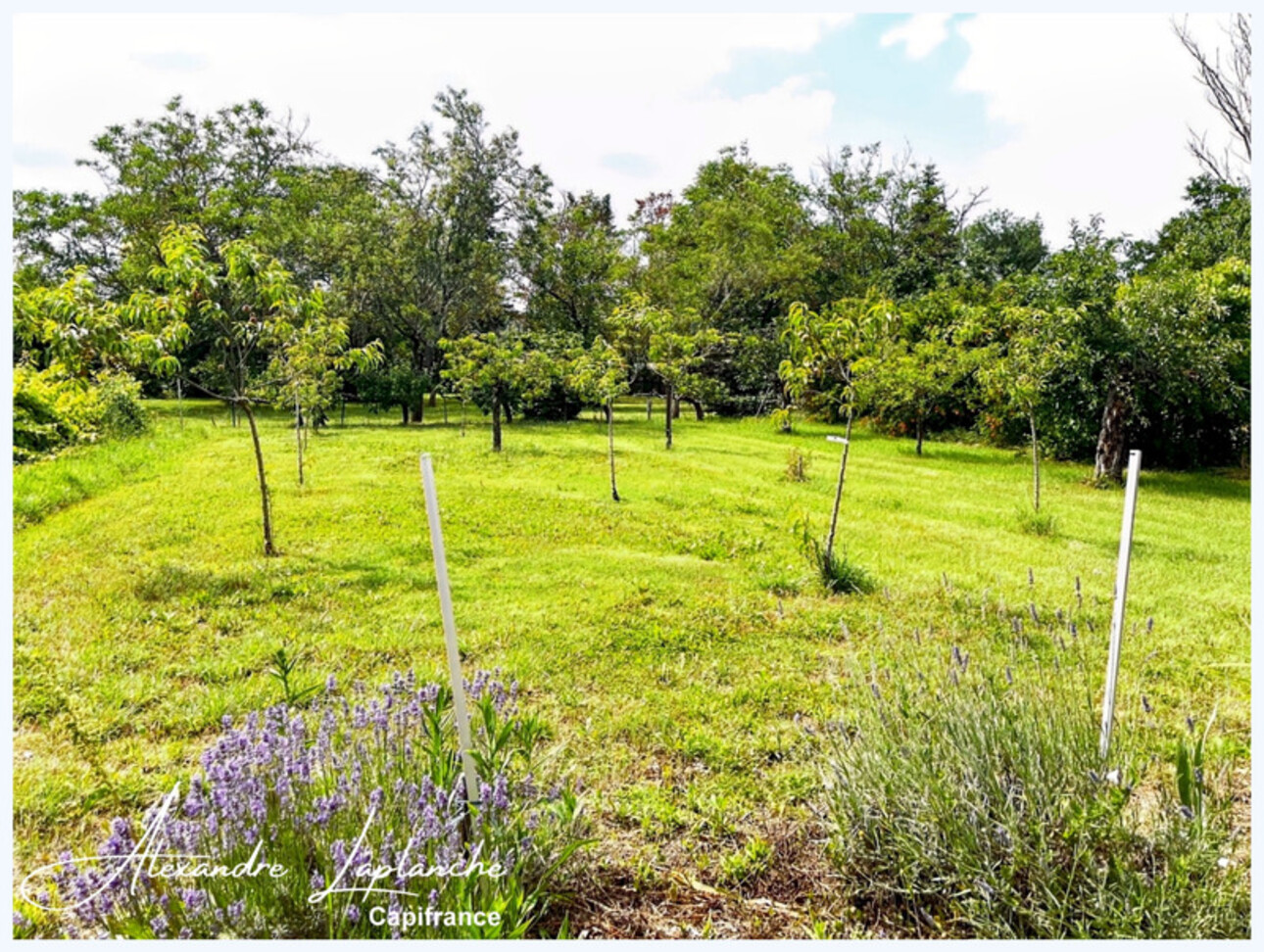 Photos 19 - Prestige - Dpt Tarn et Garonne (82), à vendre domaine en bordure de Tarn - Authentique Maison de Maître des années 30 par Joseph GILET