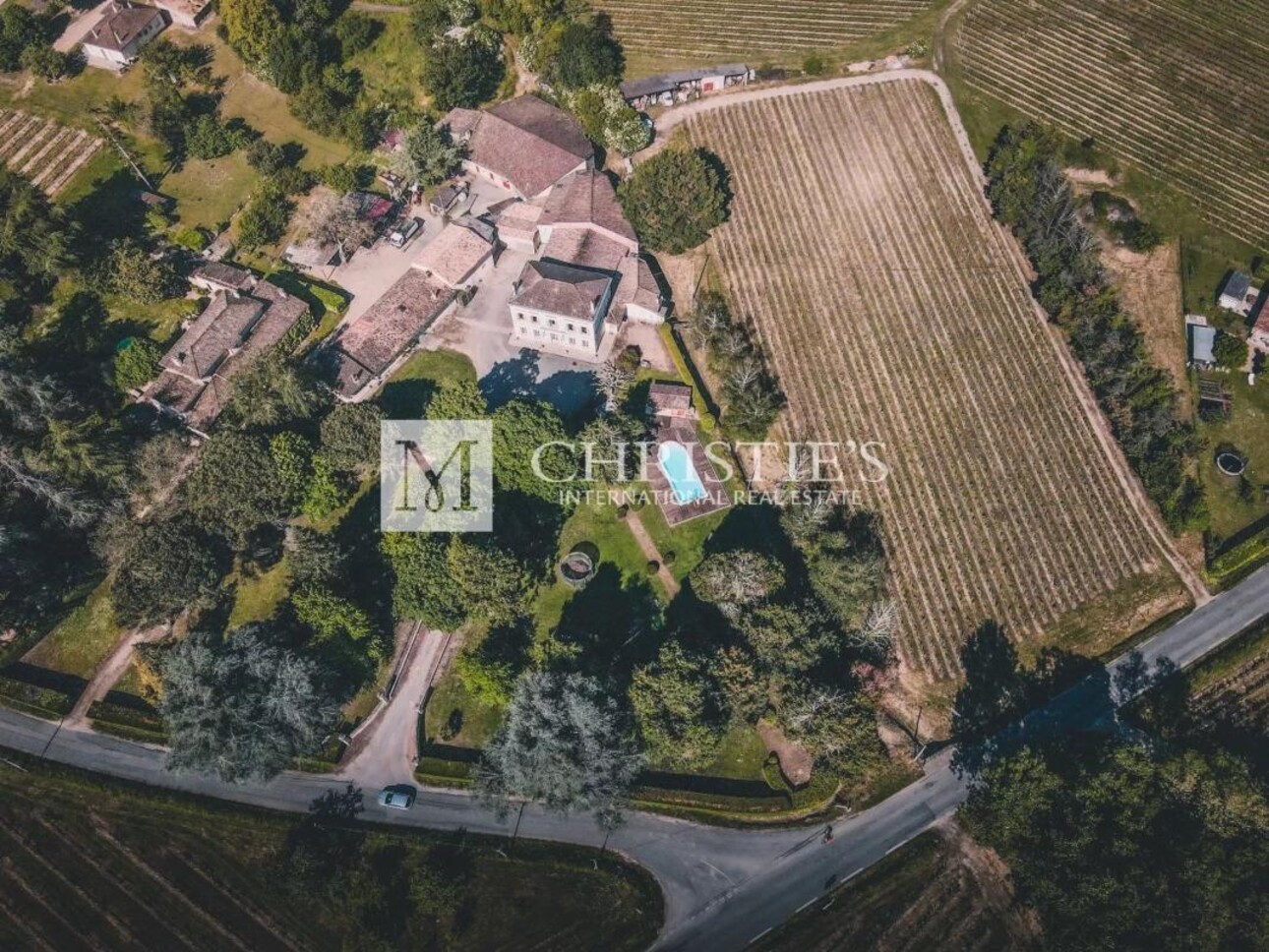 Photos 2 - Vineyard - Bordeaux family vineyard estate for sale with a spacious vineyard, charming residence, gîte and farm