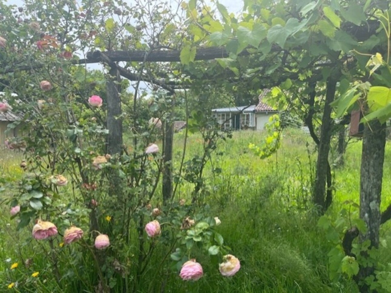 Photos 7 - Touristique - Dpt Gers (32), à vendre NOGARO proche, ancienne METAIERIE de 130m2 sur 1.3 ha avec grange , bois, AU CALME ! sans nuisance