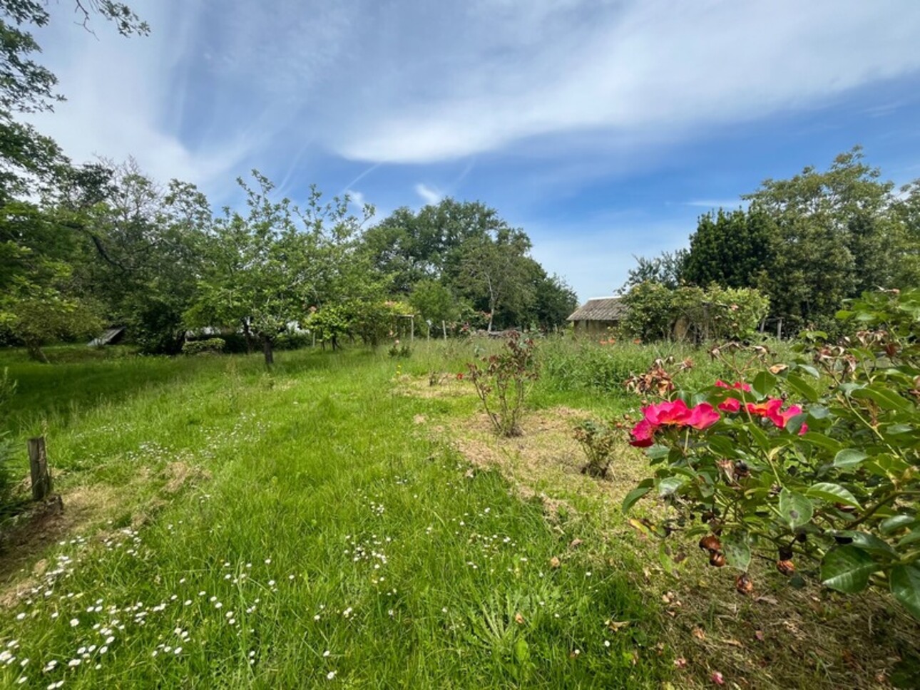 Photos 9 - Touristique - Dpt Gers (32), à vendre NOGARO proche, ancienne METAIERIE de 130m2 sur 1.3 ha avec grange , bois, AU CALME ! sans nuisance