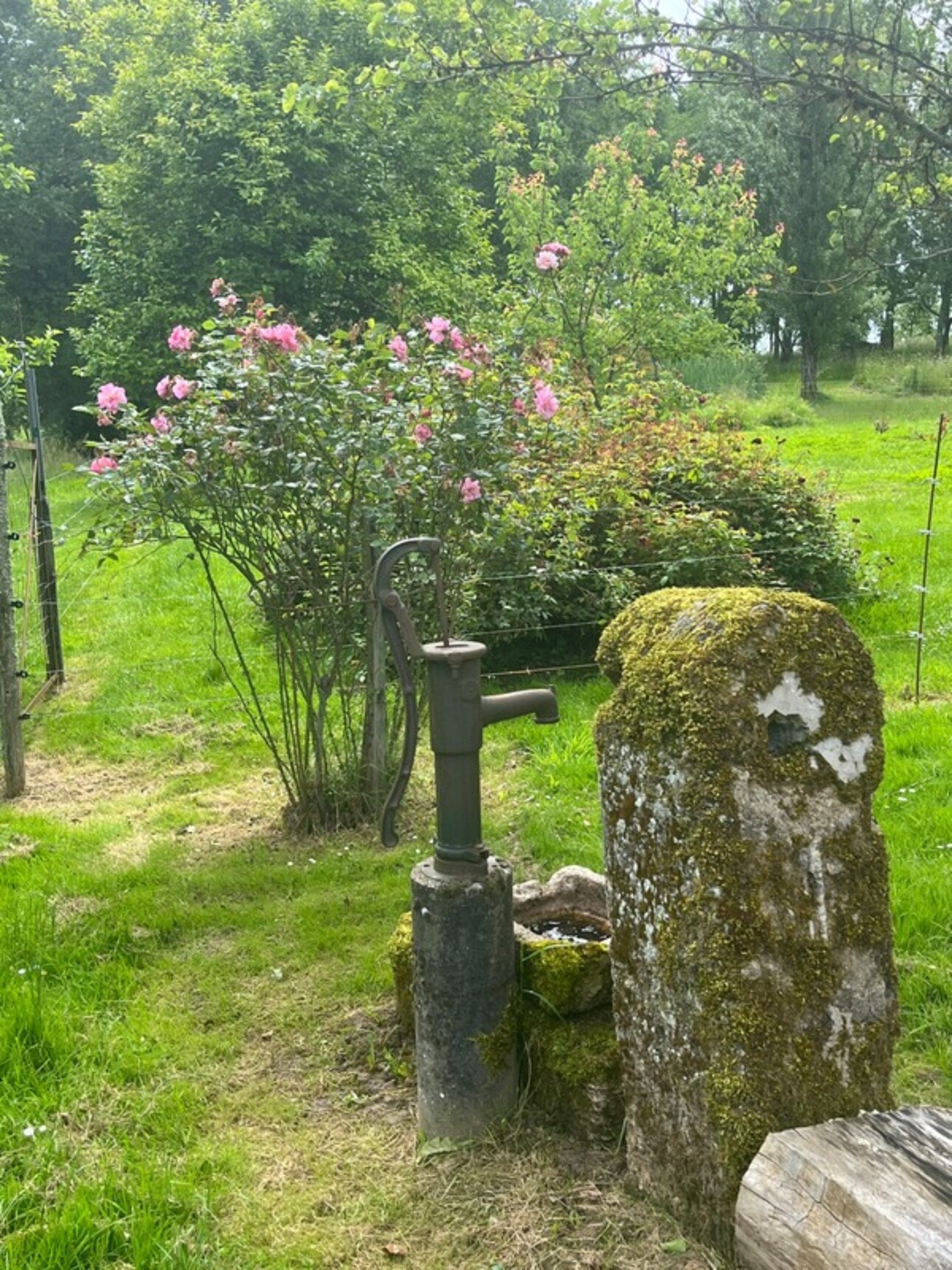 Photos 13 - Touristique - Dpt Gers (32), à vendre NOGARO proche, ancienne METAIERIE de 130m2 sur 1.3 ha avec grange , bois, AU CALME ! sans nuisance