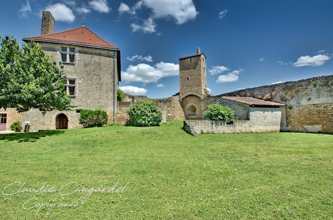 Photos 29 - Prestigious - Dpt Deux Sèvres (79), for sale AIRVAULT property P14 of 490 m² - Land of 4,694.00 m²