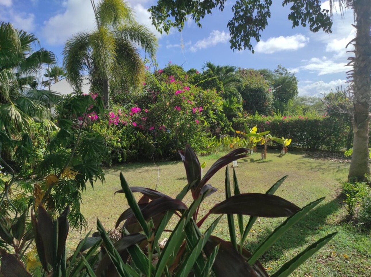 Photos 1 - Prestigious - Dpt Guadeloupe (971), for sale SAINT FRANCOIS property P10 of 210 m² - Land of 1,539.00 m²