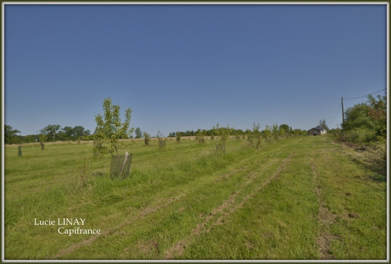 Photos 2 - Agricultural - Corps de ferme, au calme et sans voisinage proche, sur plus de 6,5ha de terrain