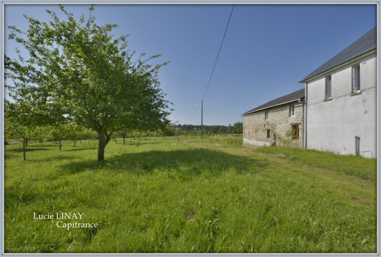 Photos 26 - Agricultural - Corps de ferme, au calme et sans voisinage proche, sur plus de 6,5ha de terrain