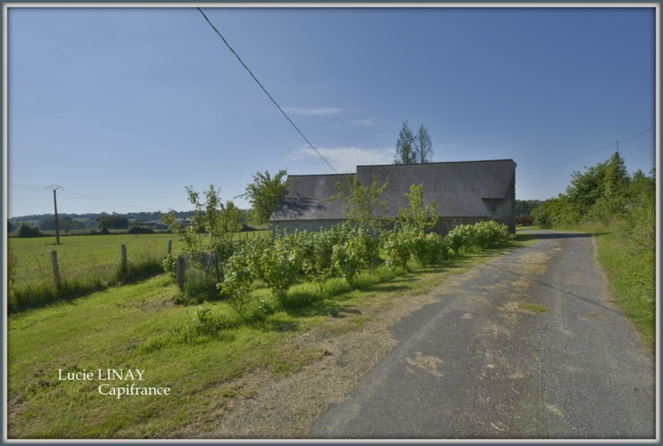 Photos 29 - Agricole - Corps de ferme, au calme et sans voisinage proche, sur plus de 6,5ha de terrain