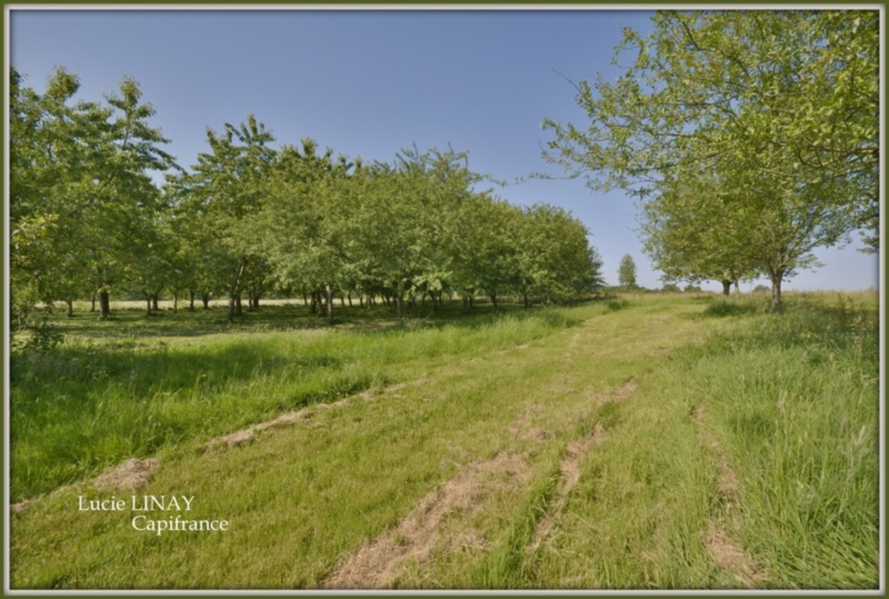 Photos 30 - Agricultural - Corps de ferme, au calme et sans voisinage proche, sur plus de 6,5ha de terrain