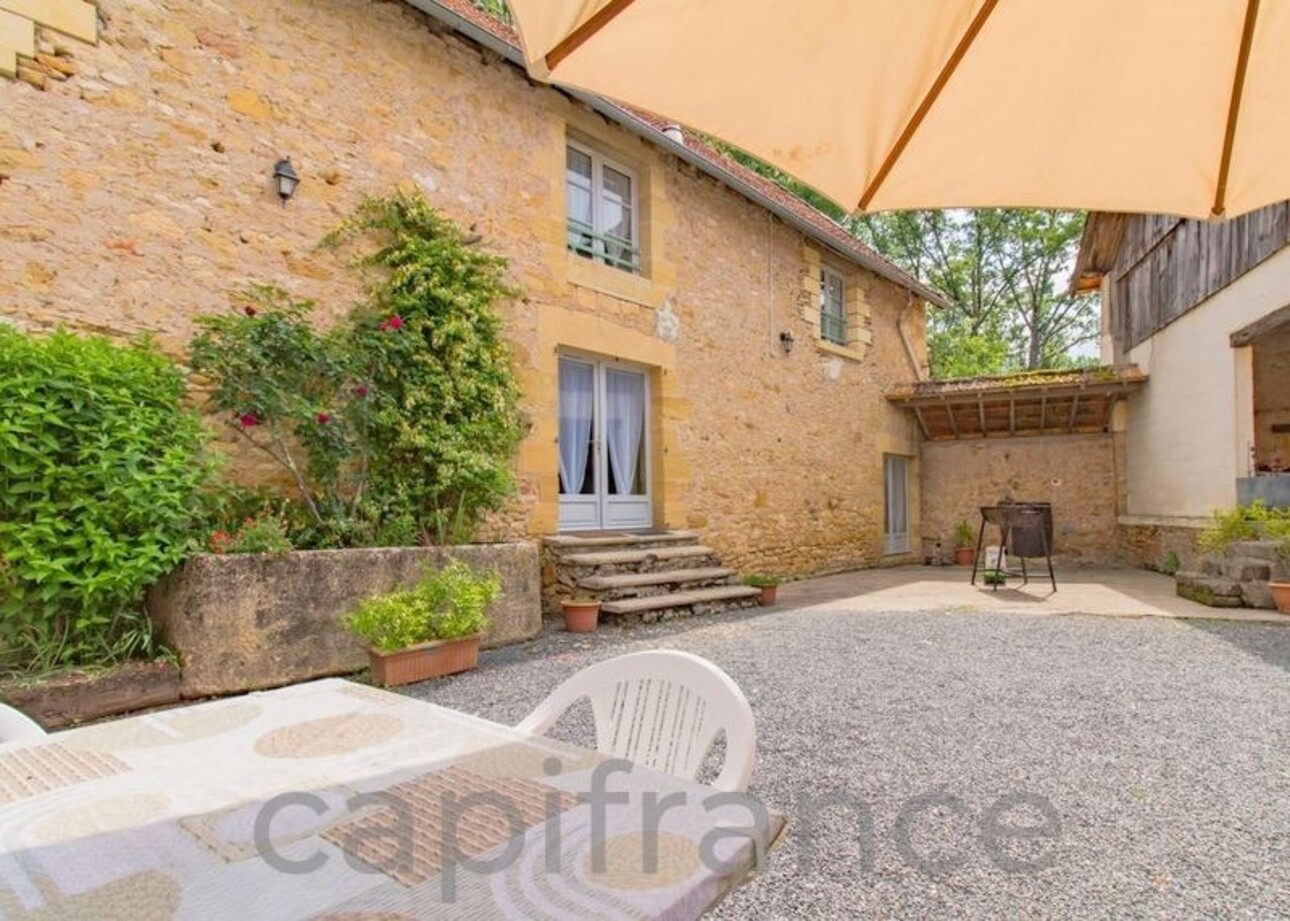 Photos 4 - Touristique - Dpt Dordogne (24), à vendre AUBAS propriete P20