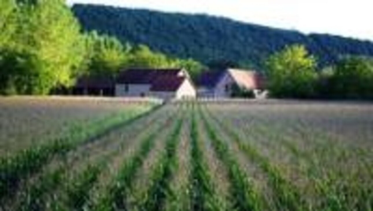 Photos 41 - Touristique - Dpt Dordogne (24), à vendre AUBAS propriete P20