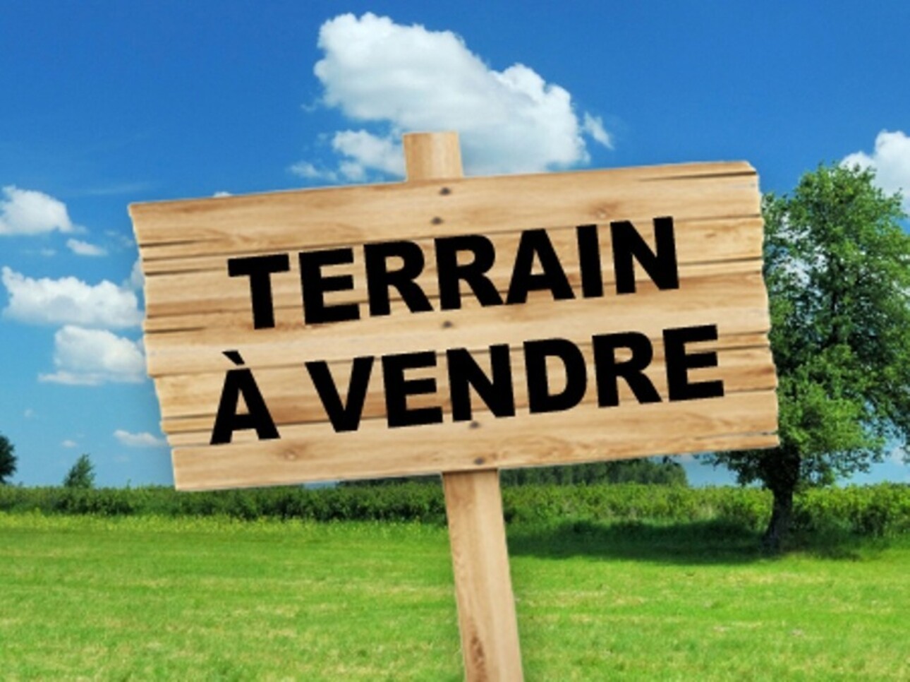 Photos 1 - Vineyard - Terrain agricole de 51 460,00 m²