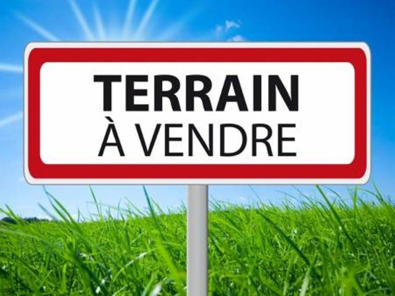 Photos 1 - Viticole - Terrain AGRICOLE de 63 345,00 m²