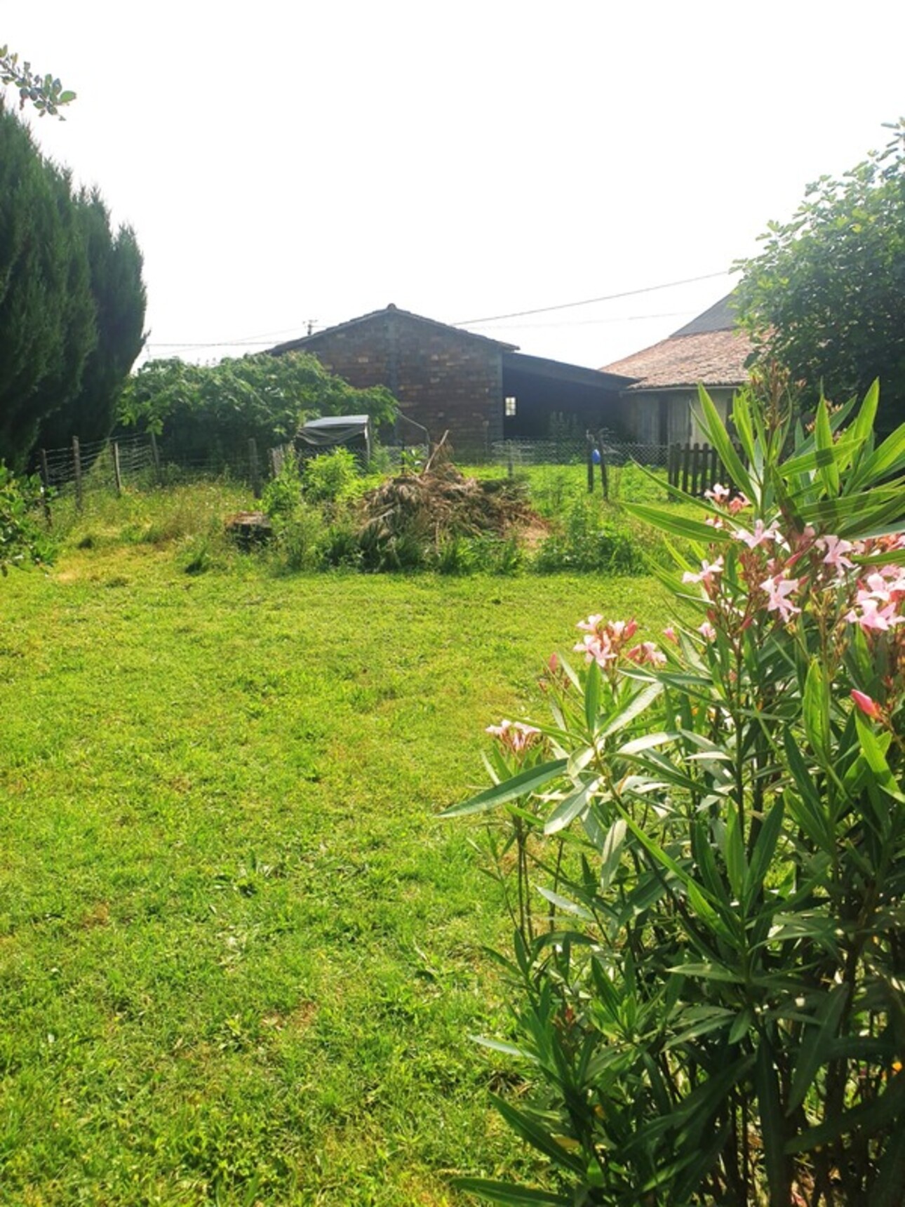 Photos 8 - Tourist - Dpt Charente (16), for sale near BARBEZIEUX Charming Barn 180 m² to Renovate with Potential