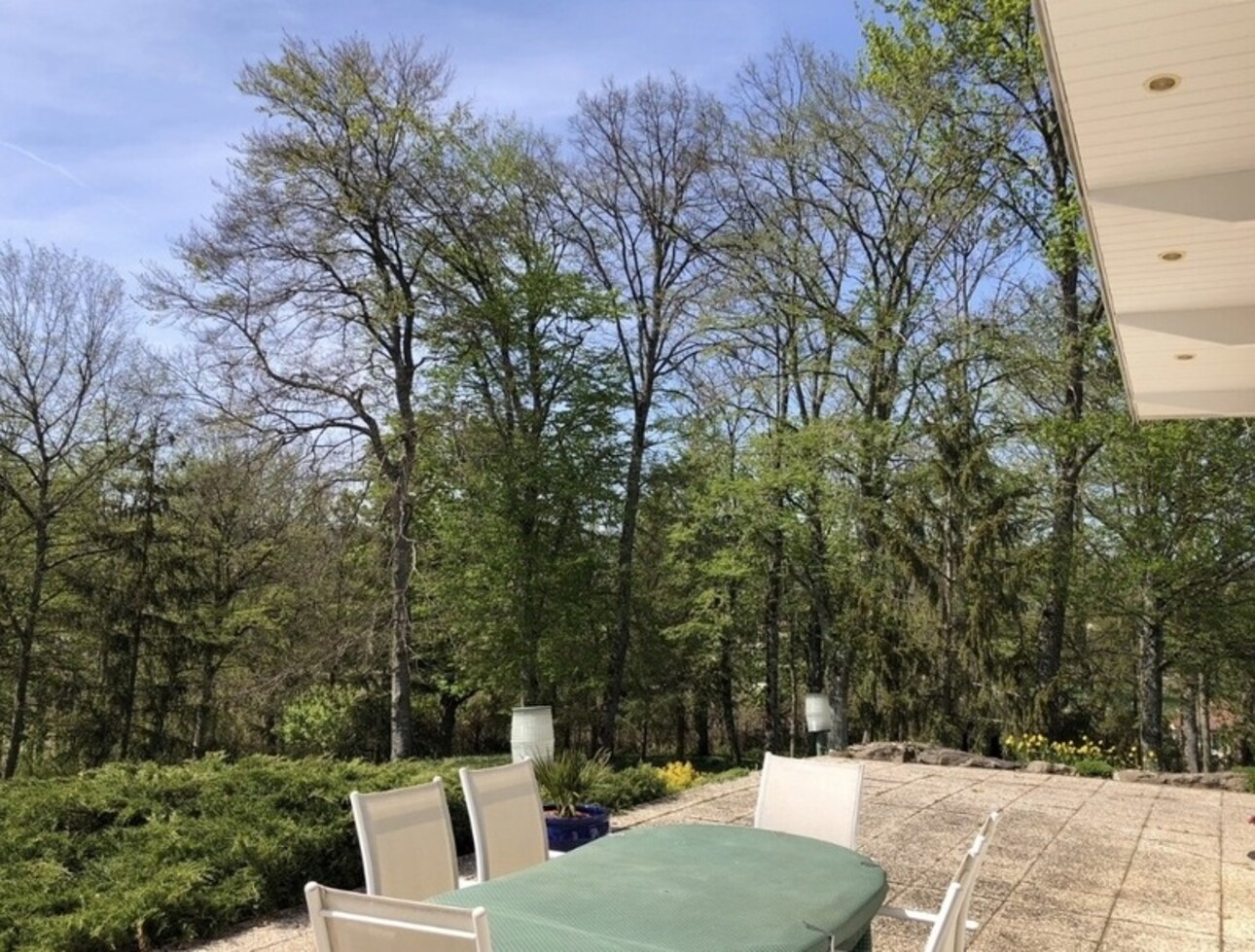 Photos 20 - Prestige - Dpt Vosges (88), à vendre axe VITTEL NEUFCHATEAU NANCY - VILLA avec PISCINE / env 4000 m2 de TERRAIN