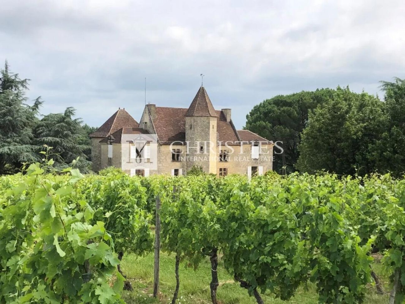 Photos 1 - Viticole - En exclusivité : à vendre magnifique domaine viticole historique clé en main dans l’Entre-Deux-Mers