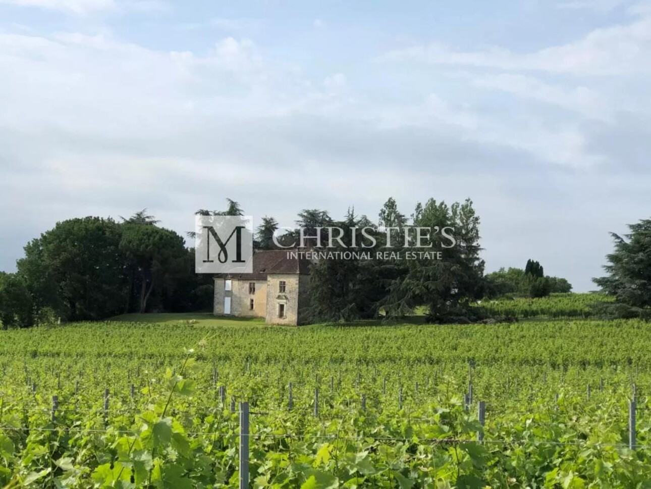 Photos 2 - Vineyard - Exclusive:  Entre-Deux-Mers Magnificent turnkey historic vineyard estate for sale